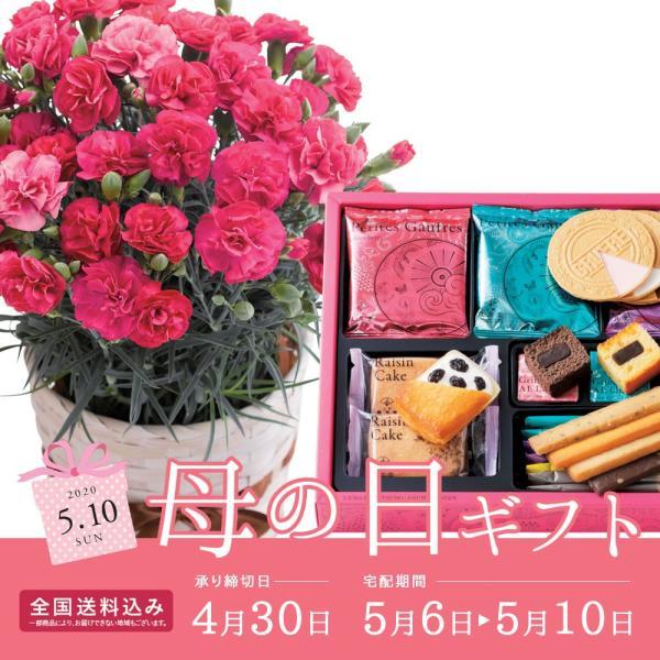 ご確認ページです♡カーネーションマカロン♡ 母の日ギフト 2020 花 スイーツ 洋菓子 送料無料 カーネーション