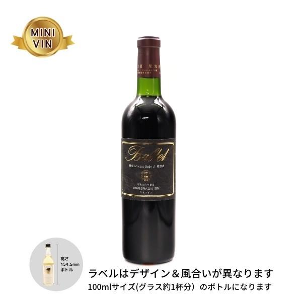 日本ワイン 岩崎醸造 山梨県 バルテ 勝沼mba 樽熟成 赤 Minivinサイズ 100ml ミニヴァンの店byワインワークス 通販 Yahoo ショッピング