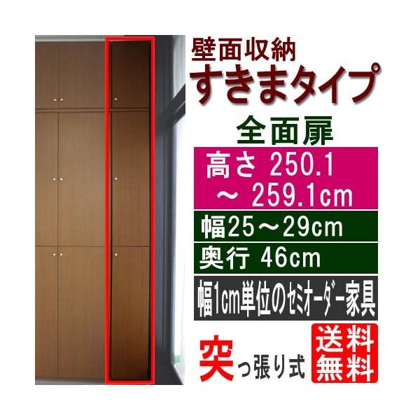 消耗品幅狭ラック扉付 戸棚 高さ２５０．１〜２５９．１ｃｍ幅２５〜２９ｃｍ奥行４６ｃｍ厚棚板(棚板厚2.5cm)