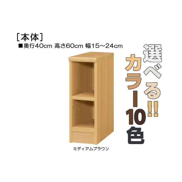教育施設家具 ジャストサイズ！横幅を1ｃｍ単位でオーダー！棚板厚さ2.5ｃｍ 本棚。 奥行４０ｃｍ×高さ６０ｃｍ×幅１５〜２４ｃｍ商品仕様■タイプ：　本棚棚（棚板厚さ2.5cm）タイプ■棚板耐荷重：　15Kg■外寸：　奥行４０ｃｍ×高さ６０...