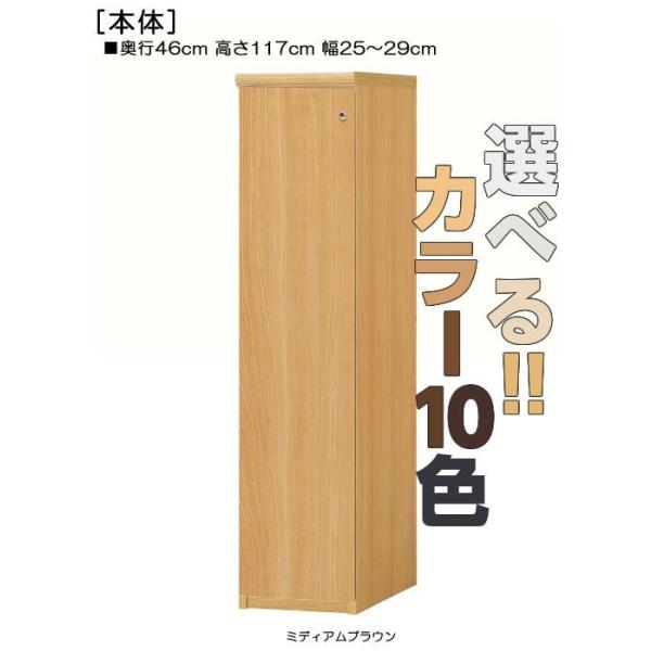 全面扉壁収納 高さ117cm幅25〜29cm奥行46cm厚棚板（棚