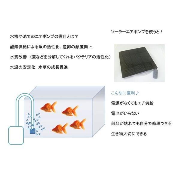 電池不要 よく動く 薄型大 シンプル ソーラーエアーポンプ 透明カバー付 Buyee Buyee Japanese Proxy Service Buy From Japan Bot Online