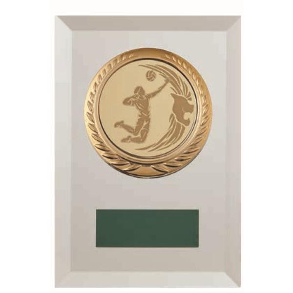 ３５％ＯＦＦ！プレート彫刻無料！当社ではトロフィー、優勝カップ、楯(盾)、メダル等の記念品を販売をしております。 ゴルフコンペ、各種トーナメント、大会の表彰にどうぞ。【お急ぎの方へ】最短到着予定より早く到着希望の方はご相談ください。出来る限...