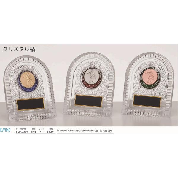 ３５％ＯＦＦ！プレート彫刻無料！当社ではトロフィー、優勝カップ、楯(盾)、メダル等の記念品を販売をしております。 ゴルフコンペ、各種トーナメント、大会の表彰にどうぞ。【お急ぎの方へ】最短到着予定より早く到着希望の方はご相談ください。出来る限...