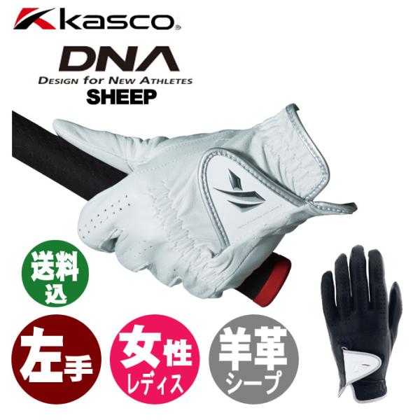 (送料込み)(左手用)キャスコ KASCO DNA SHEEP レディスゴルフグローブ GF-2012L 羊革 女性用 GF2012L
