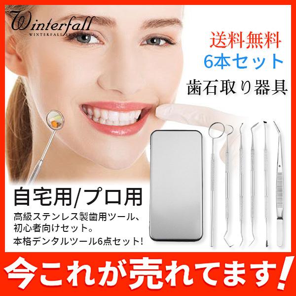 送料無料 歯石取り器具 6本セット ステンレス製 自宅用 デンタルツール 歯 ヤニ 歯垢 しこう取りスケーラー プロ用 02jan21yj01 Winter Fall 通販 Yahoo ショッピング