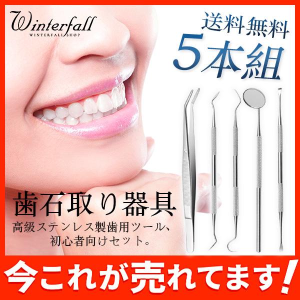 送料無料 即日発送 歯石取り器具 5本セット ステンレス製 自宅用 デンタルツール 歯 ヤニ 歯垢 しこう取りスケーラー 02jan21yj02 Winter Fall 通販 Yahoo ショッピング