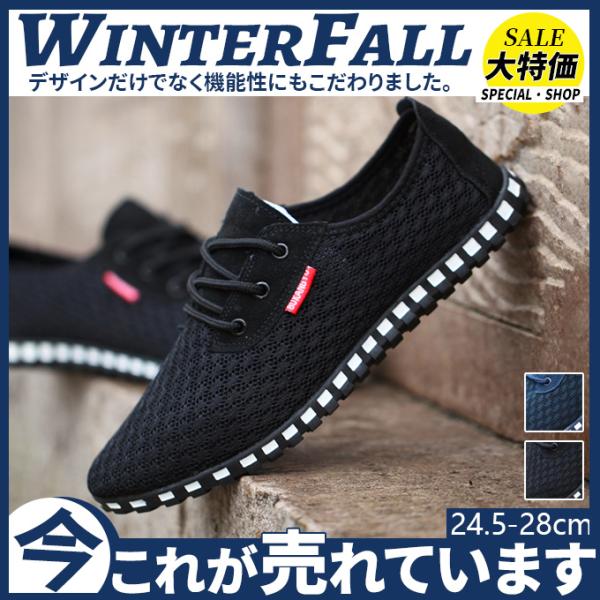 Xj[J[ V[Y Y C amC JWAV[Y X|[c Ȃ 傫TCY  EH[LO ʋC y ^C ʊw ʋ