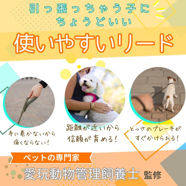 �� ���[�h �V���[�g���[�h 1m ���� �y�� �U���p ���i�摜1