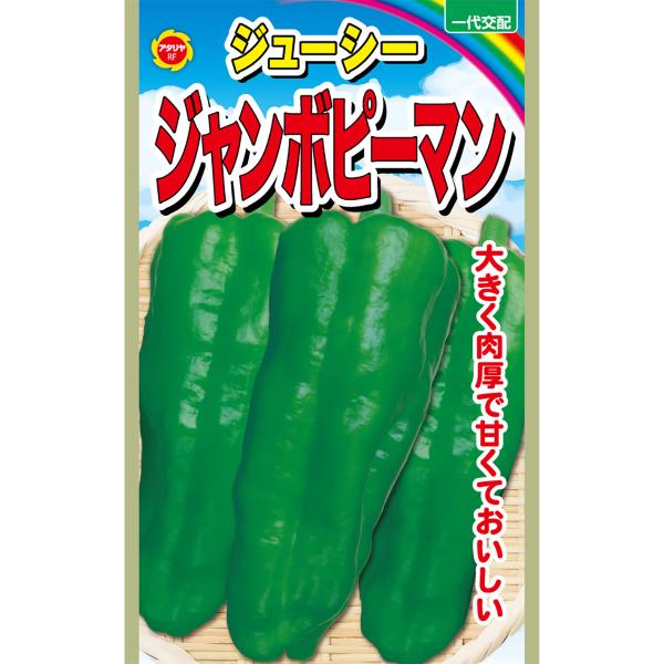 ピーマンさん専用 ピーマン 種 『おばぴー 』 横浜植木 | たね,果菜の種,ピーマン
