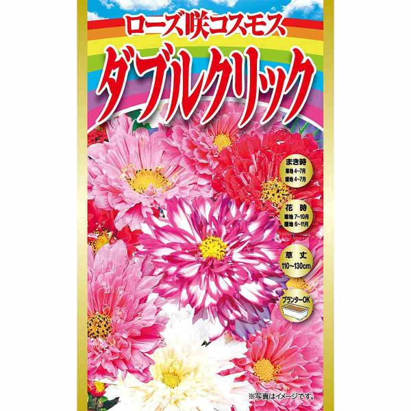 コスモス ダブルクリック バイカラーローズ 花種40粒以上