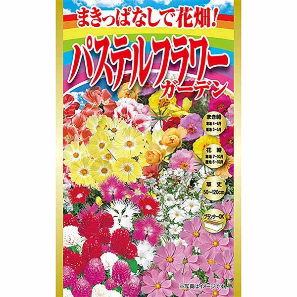 超特価セールサイト まきどき花の種 6品種セット 0cc4d5ef 激安 販売 時期 Pn Batam Go Id
