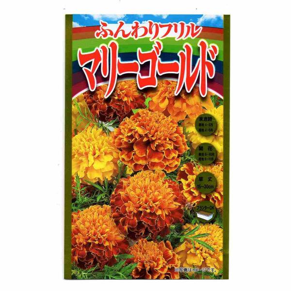 切花用ふんわりフリルの マリーゴールド アタリヤ農園 花種 M ワイズライフyahoo 店 通販 Yahoo ショッピング