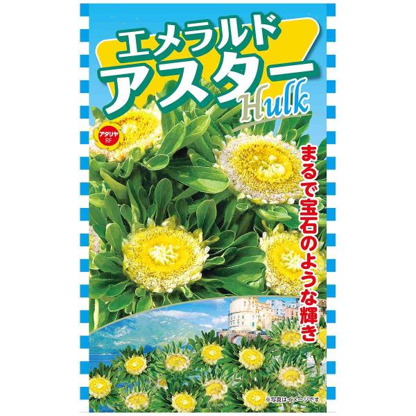 ※こちらは種子になります※在庫不足の場合メーカーより取り寄せになります。※メーカー欠品の場合、勝手ながらご注文をキャンセルまたは数量を変更させていただきます。外側の長い花弁がなく中央部が黄色くなる、風変わりなアスター、ユニークな花が楽しめる...