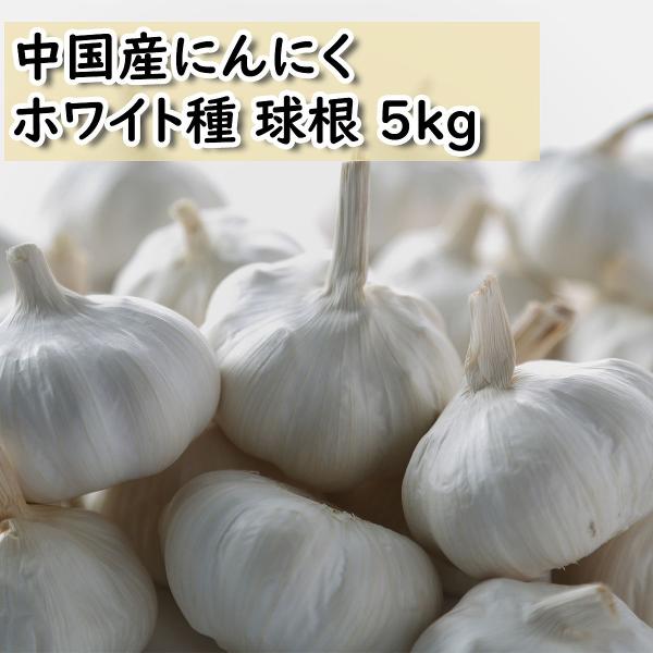 Today 5kg 本年度 初物 大分県産 にんにく Today 5kg 本年度 初物 大分県産 にんにく 楽天市場】【自社選別