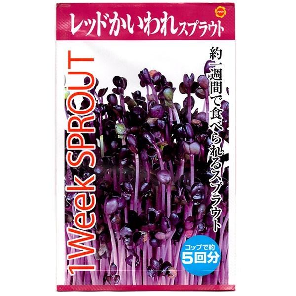 アタリヤ農園 スプラウト レッドかいわれ Am ワイズライフyahoo 店 通販 Yahoo ショッピング
