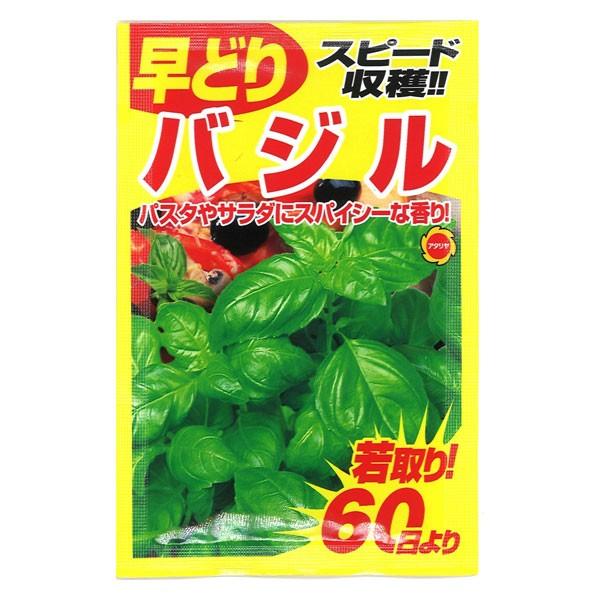 アタリヤ農園 ハーブ種 早どり Am 直輸入品激安 バジル