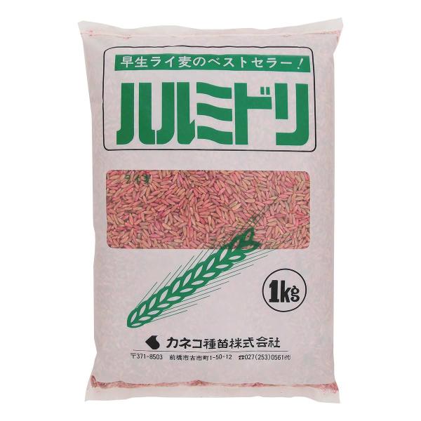 他サイト： 緑肥 ライムギ ハルミドリ 1kg カネコ種苗 緑肥ライ麦 緑肥 ライ麦 緑肥 種 ライ麦 種 種子 ライ麦 種子 緑肥 種 緑肥 種子 麦 種 麦 種子の商品画像