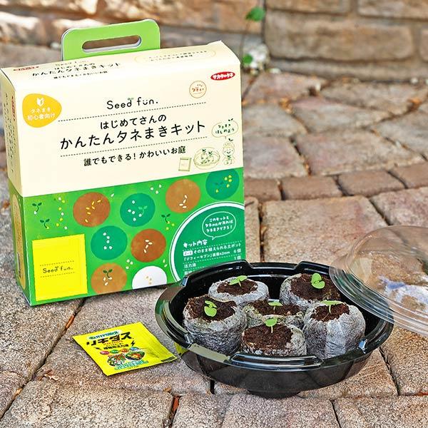 サカエ一号 1.2kg入り × 4袋セット サカタのタネ（サカタノタネ） はじめてさんのかんたんタネまきキット