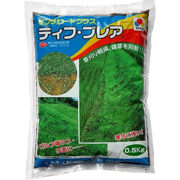 有効期限 26年1月まで 芝種 センチピードグラス ティフ・ブレア 1kg