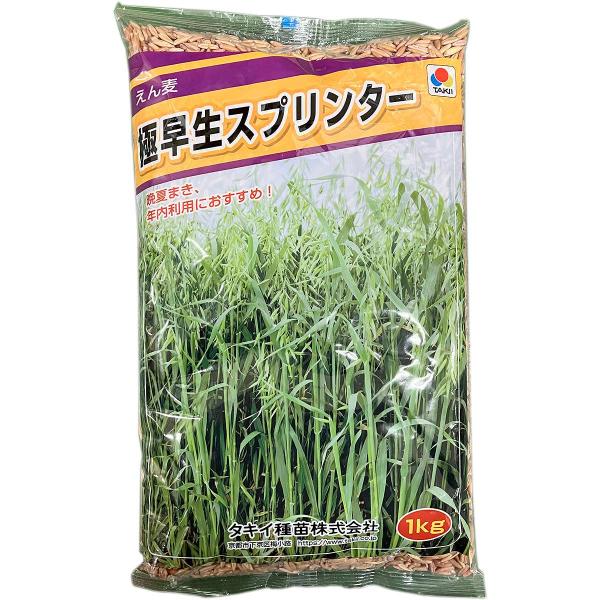 ※メーカーより直送品となります。当店から出荷される商品と一緒に購入された場合別途送料が発生致しますご了承ください。有効期限最低3カ月以上の商品を発送させていただきます。それ以下の期限になる場合、当店よりメールまたはお電話にてご連絡させていた...