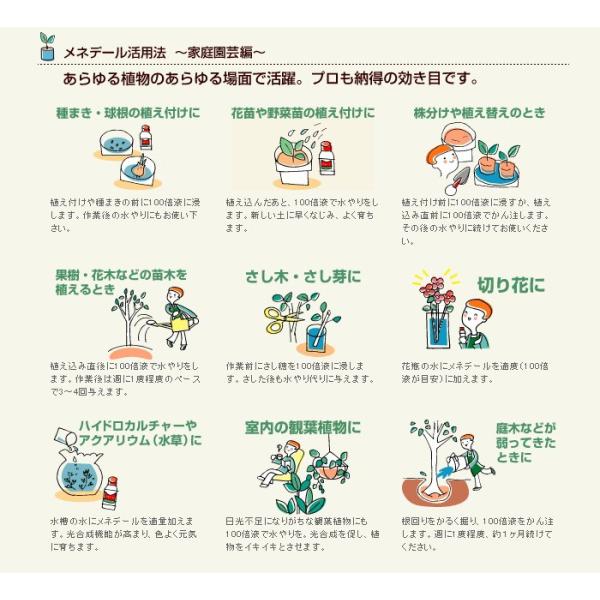 メネデール 激安 激安特価 送料無料 5l A