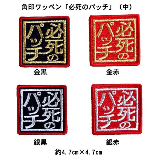 _^CK[X p󃏃byuK̃pb`vij