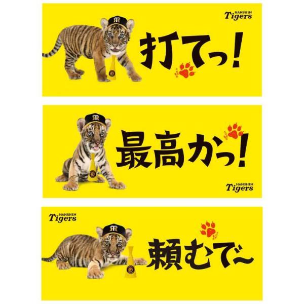 全国どこでも送料無料 阪神タイガース グッズ マフラータオル 虎 2020