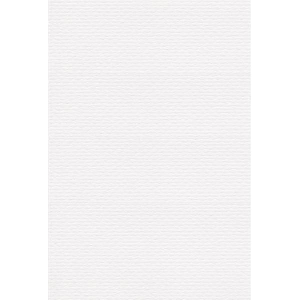 【ご購入後の当店からの連絡はご登録のメールアドレスに通知いたします。必ずご確認ください】