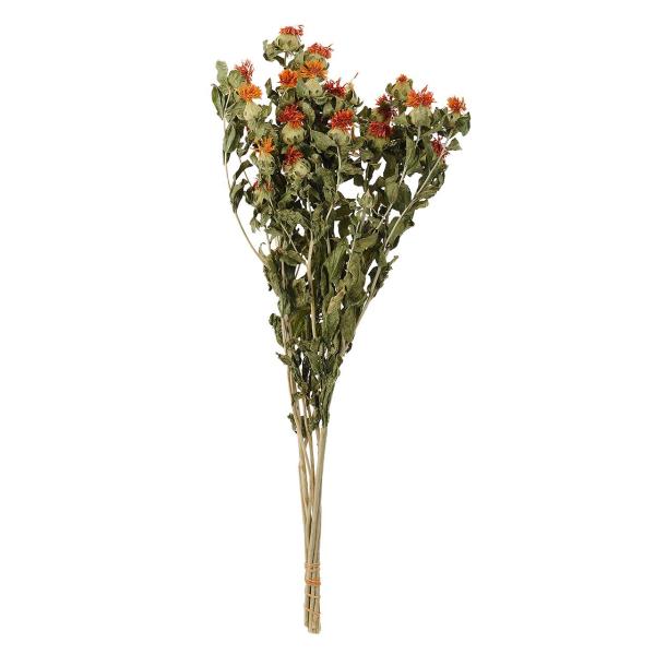 【ご購入後の当店からの連絡はご登録のメールアドレスに通知いたします。必ずご確認ください】