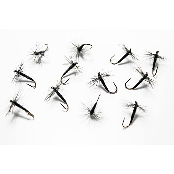 【ご購入後の当店からの連絡はご登録のメールアドレスに通知いたします。必ずご確認ください】