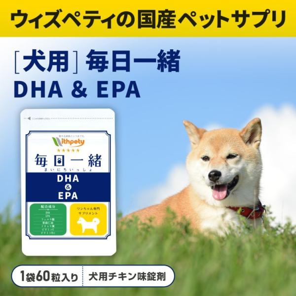 ゆうパケット送料無料 犬用認知症サプリ 犬用dha Epaサプリ ペットサプリ ペット用オメガ3 犬用サプリ 毎日一緒 Buyee Buyee 日本の通販商品 オークションの代理入札 代理購入