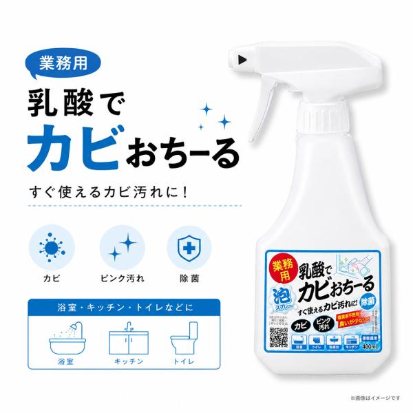 カビ取り カビ取り剤 浴室洗剤 400ml 除菌 日本製 浴室用 風呂 水まわり 畳 乳酸 トイレ 洗面台 非塩素系 業務用 乳酸でカビおちーる 新生活 ポイント利用 爆買