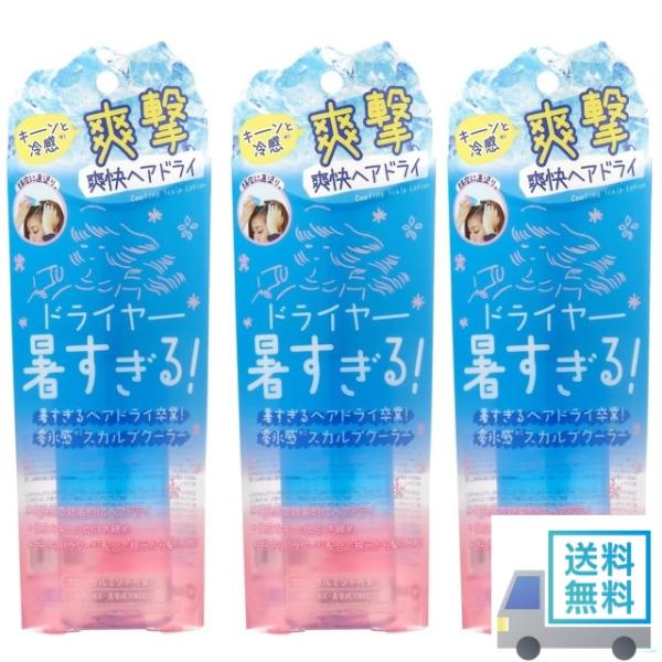 3個セット リベルタ Coolist クーリスト スカルプクーラー フローラルミントの香り 100ml お風呂上り ドライヤー 暑さ対策