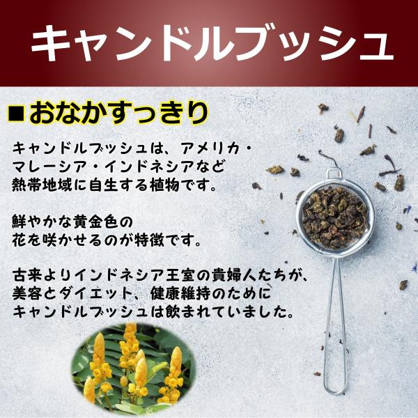 ルイボスティー キャンドルブッシュ 紅茶 ローズヒップ 他 １包4g ３packs お試し 健康茶 便秘 エスティモア 期間限定価格 Buyee Buyee 日本の通販商品 オークションの代理入札 代理購入