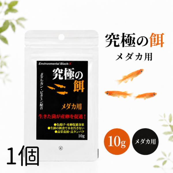B-blast 究極の餌メダカ用 10g 1個