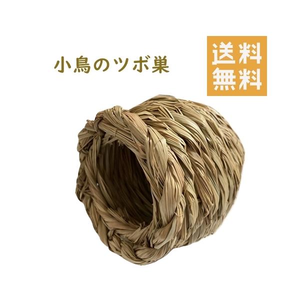 カワイ ツボ巣 鳥