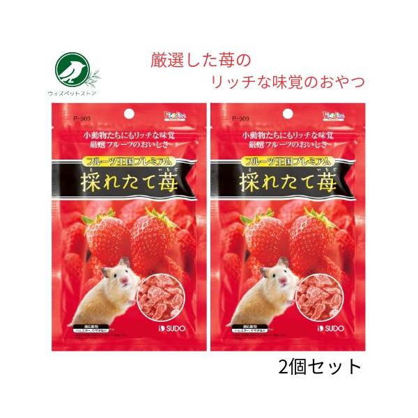 スドー フルーツ王国プレミアム 採れたて苺 46g 2個セット