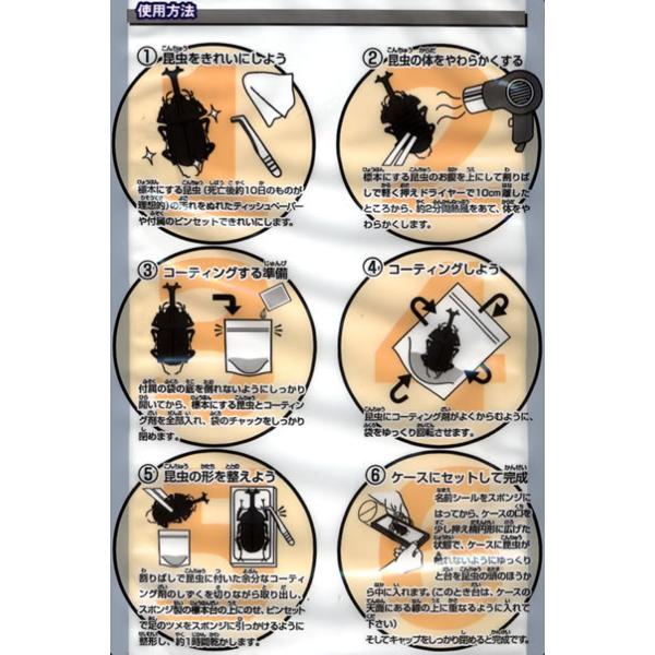 フジコン 標本LABO 2個セット カブトムシ クワガタ 昆虫 標本セ