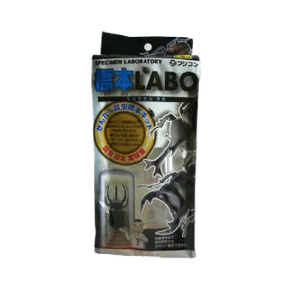 フジコン 標本LABO 2個セット カブトムシ クワガタ 昆虫 標本セ