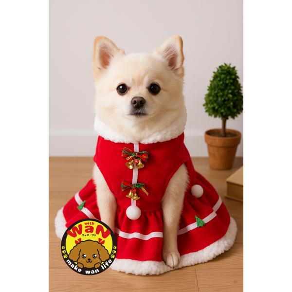 わんこ　 クリスマスワンピース withwan_dada4065
