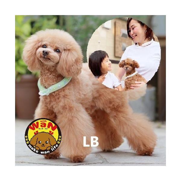 GODPIVA×SUO コラボ 28°ICE COOL RING ボタン付きGODPIVA限定デザインの28°アイスクールリング不思議なクールアイテム「SUO」の特徴からだの熱を吸収し 心地よくクールダウン夏の暑さから大切な家族を守ります・...