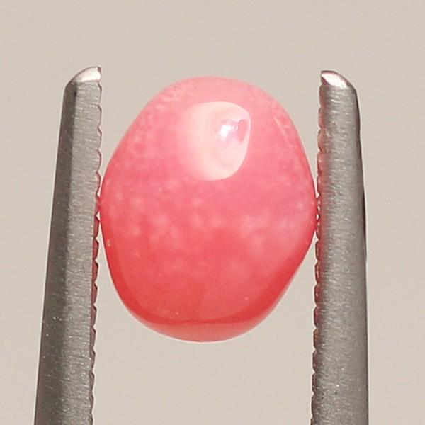 コンクパールルース0 ct 6 0 4 9mm 4 2mm火炎模様ピンク色 希少な天然真珠 Ch 363 ジュエリーワイゼムyahoo 店 通販 Yahoo ショッピング