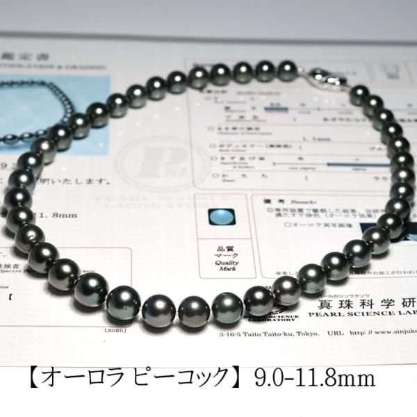 真科研鑑別書 オーロラピーコック 10.0-13.8mm 黒蝶真珠 ネックレス wizem_sp-060