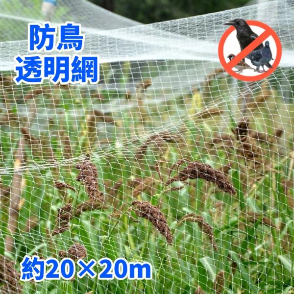 防球ネット 防鳥ネット4m×16m 目合い2.5cmメッシュ　縁無し NET24 防球ネット | ネット・網のことならプロネット