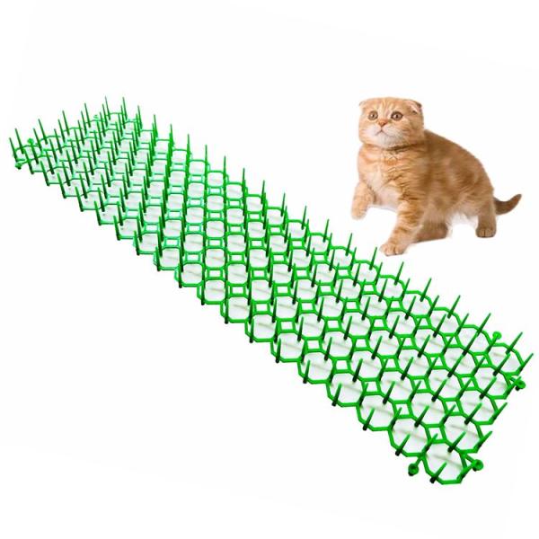 wjqcxx_4573474542292