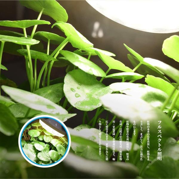 Led植物育成ライト w E26栽培用電球 植物育成用ライト フルスペクトル擬似太陽光 室内用 家庭菜園 多肉植物 水耕栽培 観葉植物 ワクワクインターナショナル 通販 Yahoo ショッピング