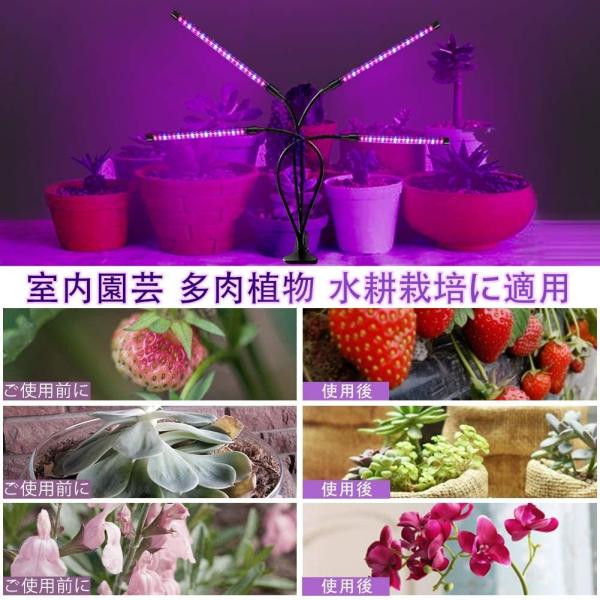 Plidon 植物育成ライトled 植物成長ランプ 育苗ライト 屋内植物用フルスペクトル 水耕栽培に適用ランプ 観葉植物ライト多肉植物育成ラ 016 ワクワクインターナショナル 通販 Yahoo ショッピング