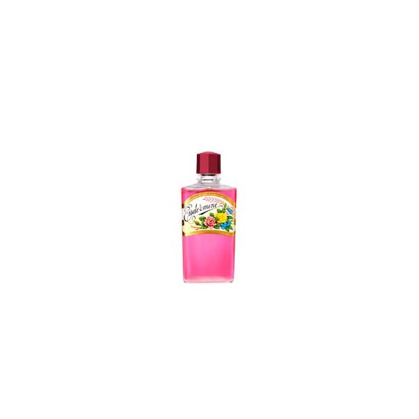 SHISEIDO 資生堂 オイデルミン（N） 200ml （除去化粧水