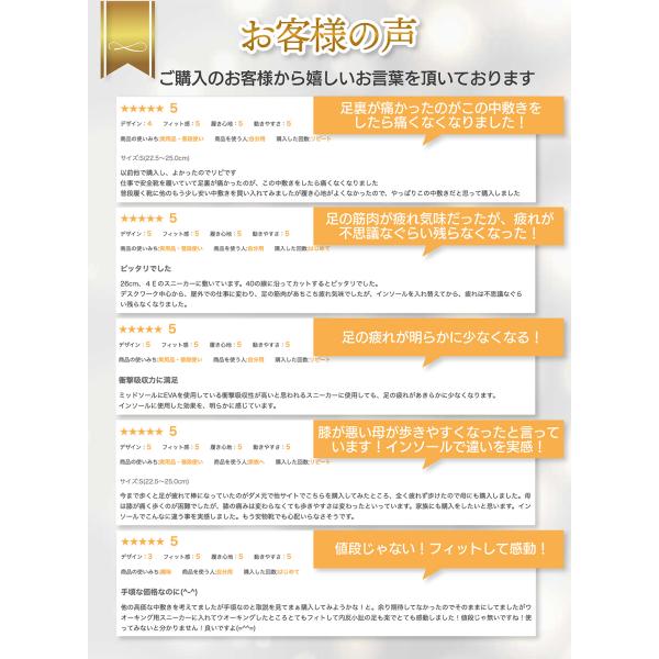 wls_insole_3_d_20240830153119